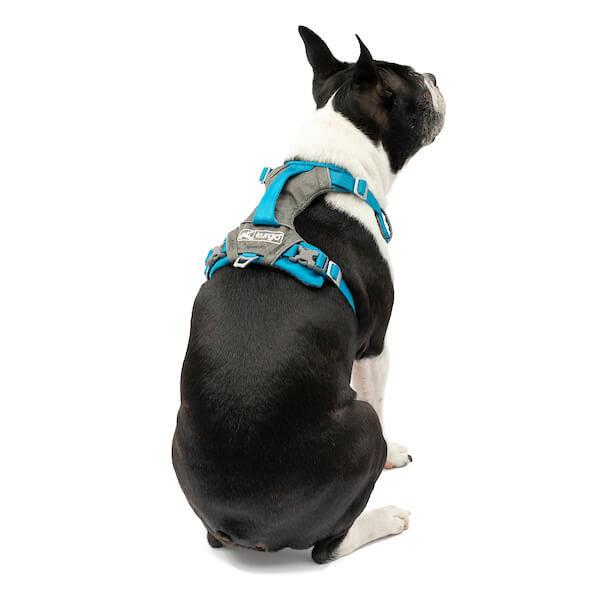 Kurgo Journey Air Harness Blau Gr. XL Kurgo Journey Air Harness Blau Gr. XL